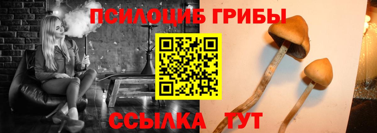 Каменск-Уральский  Псилоцибиновые грибы Psilocybe  Вход с VPN 